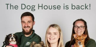 Channel 4’s The Dog House is looking for applicants The Dog House Flyer 2