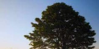 White Oak allocates over £10 million to businesses in Wales download 2021 07 08T153800.510