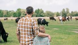 THE MOST DANGEROUS PROFESSION IN GB: FARMER FATALITIES DOUBLE download 2021 07 19T100837.807