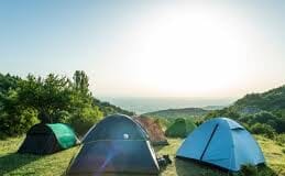 Sales of sports and outdoor equipment predicted to soar this summer – Profitero research download 2021 07 21T141329.284