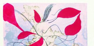 Flying Horse Editions Selects Mira Lehr for 2021 Visiting Artist Residency Program ef0429185693a2a49eafc2f36bae3922