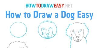 Dogs, roses, faces and dragons – the top things that countries around the world are trying to draw, revealed how to draw a dog easy drawing