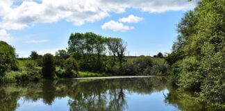 Pembrokeshire Farming Family Embrace Wildlife Conservation And Food Production jordanston farm