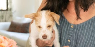 5 Ways to celebrate National Pet Day unnamed 33