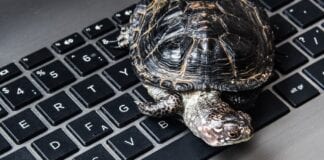 Brits have a need for speed – slow computer is the UK’s most Googled tech problem why is my laptop so slow and how can i fix it hero1554683557724