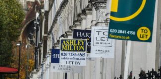 Top tips to make a rented property your own, plus what to remember when moving into a rental 118916075 rent