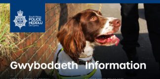 South Wales Police Warning: Scam Emails 239137594 4657094024343349 6573835448895654574 n