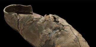 Partnership work breathes new life into old castle SMALL13a Leather Shoe