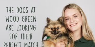 Channel 4’s The Dog House The Dog House Flyer 07 1