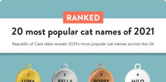 Most popular cat names in Cardiff revealed by the cat experts Untitled 2