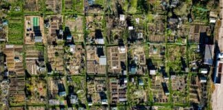 Could allotments help solve the housing crisis by providing 600,000 new homes? allotment 14307