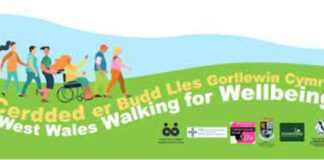 Why not join the West Wales Walking for Wellbeing group? download 2021 08 27T160209.532