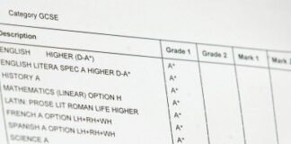 For the Letters Page: GCSE results day gcse results 2 390x285 1