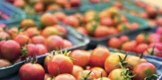 FUW Welcomes Welsh Affairs Committee Recommendations on UK-Australia Trade Deal trade agriculture