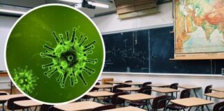 School leaders’ union asks health minister for Wales to take action over ‘failing’ TTP 261513745.jpg.gallery