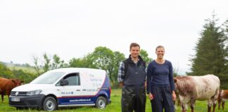 New cattle-focused veterinary practice launches in West Wales Cattle Vet Richard and Lies