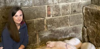 Hwre, Cynhyrchwyr newydd yn croesawu moch i’r fferm Elliw a moch 1