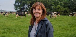Thousands of Welsh farms to receive early payment support RuralAffairsMinisterLesleyGriffiths scaled