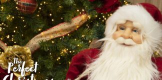 Christmas is coming to Carmarthen Garden Centre Santa copy