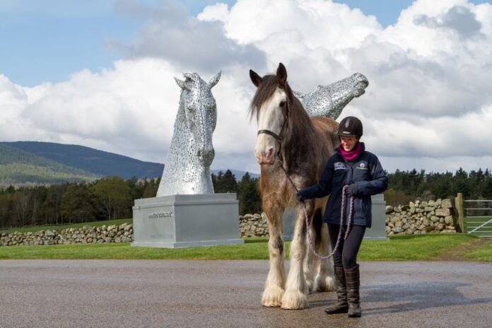 c58b4ef0 546e 441f 8cf6 b8d69e496e78