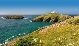 UTP team up with Visit Pembrokeshire to support member businesses and local charity download 2021 09 15T181314.333