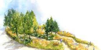 The RHS Queen’s Green Canopy Garden – Chelsea Flower Show download 2021 09 17T104639.652