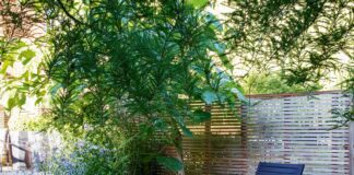 A great outdoor space can boost London property values by as much as £381k i3cnLGyRdeY4Y4nMPGrdRk 1200 80