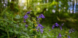 Vote for us q2d3hvuw scaled