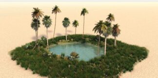 Stay Safe during and, even more important, After a Flight qio0jbm1nedacg9ty2l6