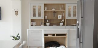 Almost one in ten Brits spend more on pet food than household food zJN9u0Pg