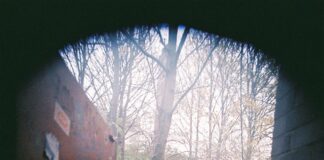 Chubby And The Gang: come to CARDIFF this December 70GqvLJQ