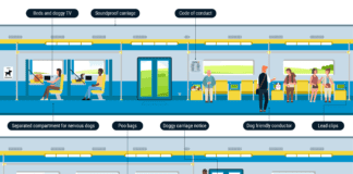 ALL ABOARD THE DOGGY CARRIAGE: DESIGNS SHOW WHAT TRAVEL FOR DOGS AND THEIR OWNERS COULD LOOK LIKE 83da6867a0687de5ad3b2416f882a80