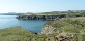 Virtual Archaeology Day to reveal Pembrokeshire’s rich heritage and history Photo of 2021 Caerfai excavation