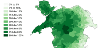 Dathlu a dysgu gwersi: Mesur sefyllfa’r Gymraeg rhwng dau gyfrifiad Welsh speakers in the 2011 census