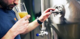 Bragdy cyrfau crefft yn barod i ddefnyddio microalgâu i leihau allyriadau CO2 brew8