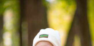 COP a look: how to involve youngsters in the UN climate change conference pexels alex 9974540