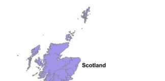 LGA launches online tool to map employment and skills provision CAEHRS