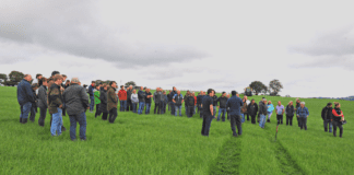 Arbrawf yn dangos nad yw penderfyniadau i ail hau naill ai drwy aredig neu ddrilio’n uniongyrchol bob amser yn syml CefnLlan OpenDay
