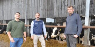 Cow mobility issues nearly halve at Welsh dairy farm after video monitoring Ceredig Evans with George Oikonomou centre and Alkiviadis Anagnostopoulos left scaled