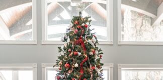 Expert reveals … CHRISTMAS TREES CAN IMPROVE YOUR SLEEP Christmas Tree