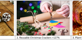 Eco-friendly Christmas Trends Of The Year Revealed – Plantable Christmas Cards No. 1 Email Image