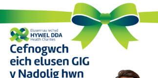 hywel Dda Health Charities ‘2021 Rhoi Apel Rhodd HDHC Christmas Welsh Poster