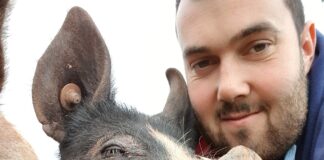 Welsh pig producers reach National Pig Awards Final Jack Tiley