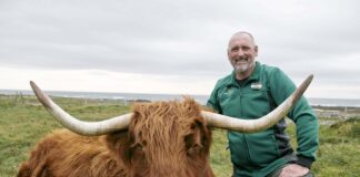 MORRISONS TRIALS SEAWEED ANIMAL FEED FOR MORE CLIMATE-FRIENDLY COWS Morrisons Seaweed SeaweedForCattle 3 scaled
