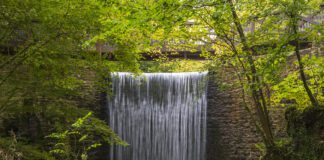 We won! NBGW c Tim Jones Photography Landscape Regeneration October 2021 Autumn 41 scaled