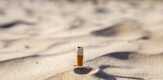 Results of Great British Beach Clean 2021 – More cigarette stubs found on Welsh beaches than ever before RS33523 Cigarette butt on beach Oct 2021 Natasha Ewins 7 scaled