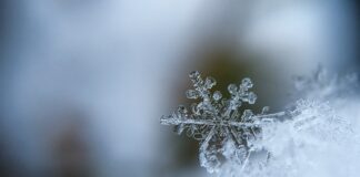 William Hill slashes odds on a white Christmas with heavy snow on the way aaron burden 5AiWn2U10cw unsplash