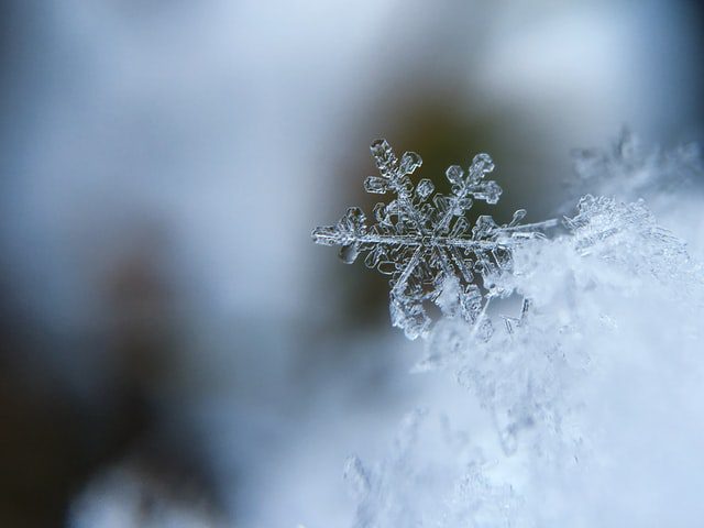 aaron burden 5AiWn2U10cw unsplash aaron burden 5AiWn2U10cw unsplash