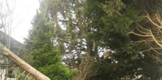 Train services continue to be affected in aftermath of storm of Storm Arwen beaabcaac8964e1eba003f0a49f73558