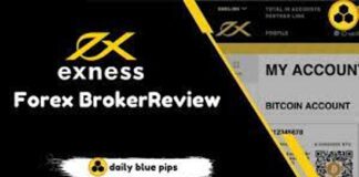 How to Get the Best from Exness Trading Platform! Exness Review 2021 download 2021 11 12T142240.936